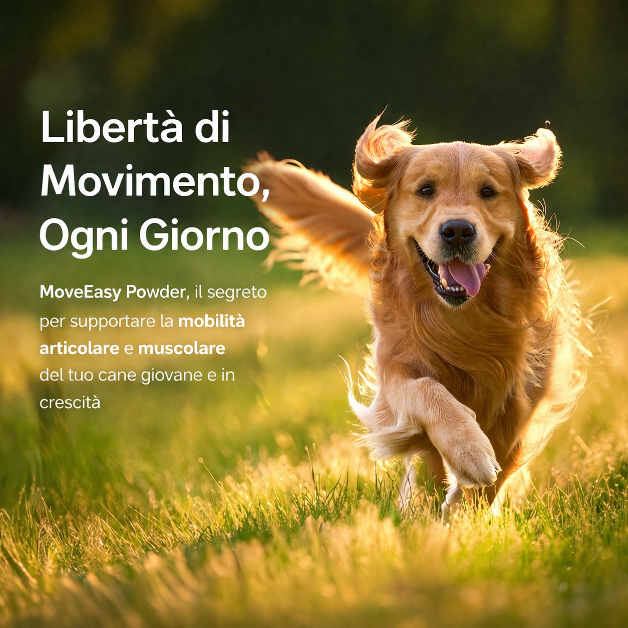 Integratore In Polvere Per Articolazioni – 150gr WOOF WOOF