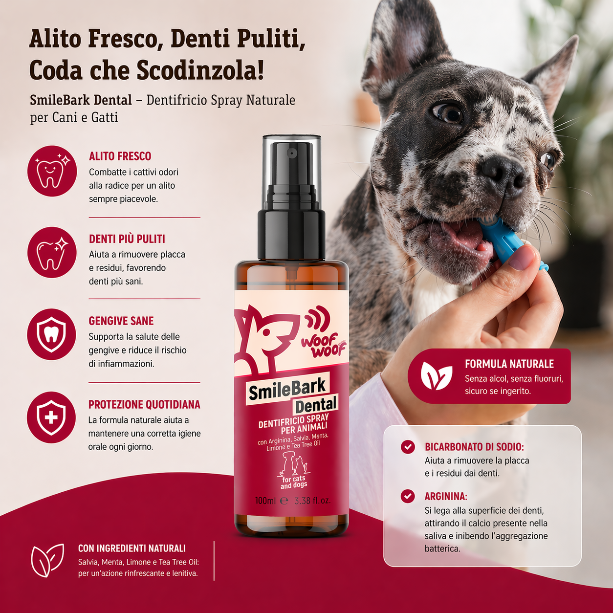 Dentifricio Spray – 100ml WOOF WOOF